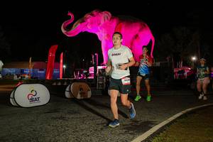 BIB: 
                            <button type="button" onclick="openModal(26534723)" class="btn btn-primary btn-sm float-right btn-popup" data-toggle="modal" data-target=".modal-high-quality">
                        <i class="fas fa-shopping-cart"></i> Add to Cart
                    </button>
                                            <button type="button" onclick="isThisMe(26534723, true)" class="btn btn-success btn-sm float-right btn-popup btn-isme hidden" data-toggle="tooltip" data-placement="bottom" title="นี่คือรูปของคุณใช่ไหม คลิกที่นี่เพื่อเอาเข้าอัลบั้ม">
                        <i class="fas fa-plus"></i> Add to album
                    </button>
                    <button type="button" onclick="isThisMe(26534723, false)" class="btn btn-warning btn-sm float-right btn-popup btn-isnotme hidden">
                        <i class="fas fa-ban"></i> Remove from album
                    </button>